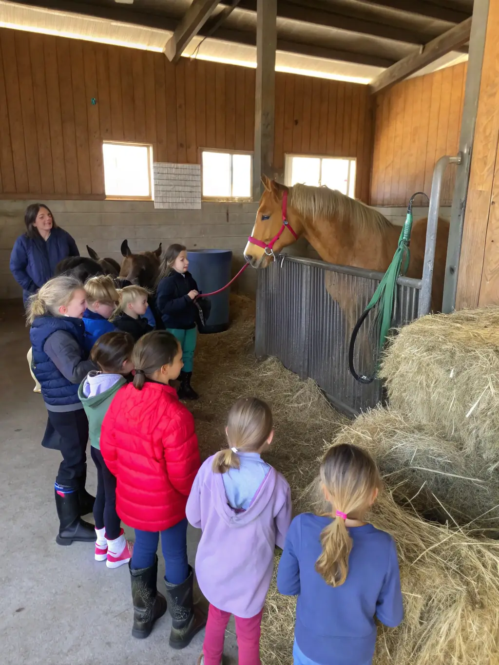 Participants in a CHEVAL DE COEUR equestrian workshop learning about horse care and stable management, emphasizing the organization's educational initiatives.